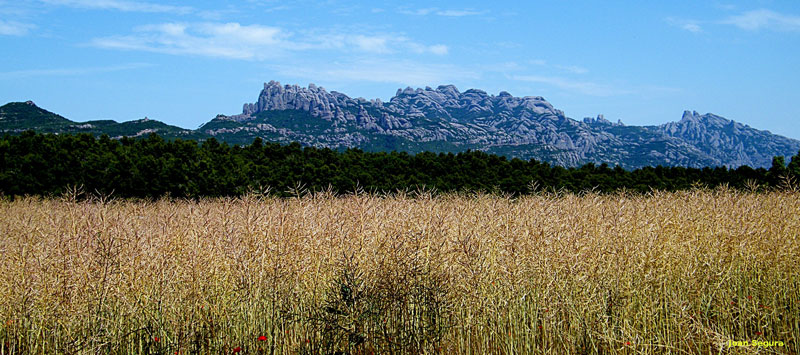 Montserrat